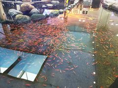 -鸿通城购物中心