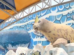 -华夏文旅海洋公园