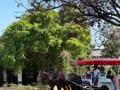 -兰陵国家农业公园