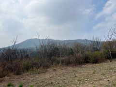 -北京鹫峰国家森林公园