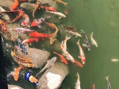 -北戴河圣蓝海洋公园