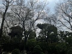 -拙政园