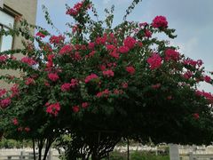 -寮步香市古镇休闲景区