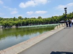 -西湖游船