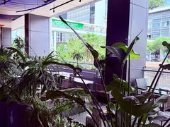 -bluefrog蓝蛙(皇庭广场店)