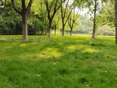 -北京奥林匹克公园