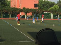 -小赛虎少儿足球培训(南翔校区)