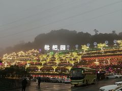 -枇杷园食为鲜火锅(南山店)