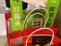 -海底捞火锅(中山路天主教堂店)