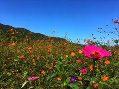 -北京西山国家森林公园