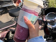 -雾与山茶(大禹城店)