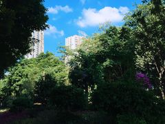 -文德路小学(南校区)