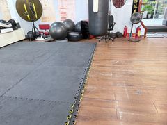 -温鉴良实用咏春拳