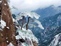 -黄山风景区