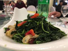 -沈阳于洪碧桂园凤凰酒店