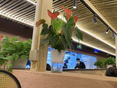 -三江两海老火锅(北京首店)