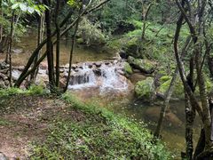 -牛背梁国家森林公园