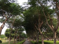 -鼓浪屿内厝澳码头(轮渡站)