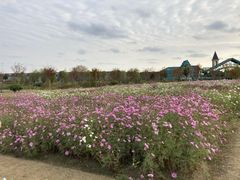 -南通鲜花小镇