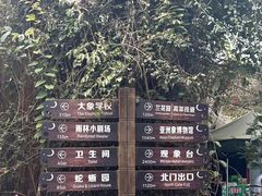 -野象谷景区