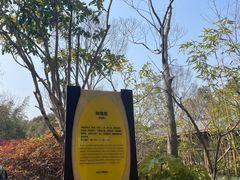 -深业半汤御泉庄温泉