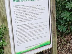 -上海滨江森林公园