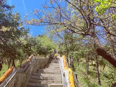 -妙峰山风景名胜区