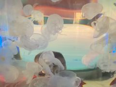 -横店影视城梦幻谷园区
