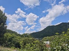 -京北渔家傲
