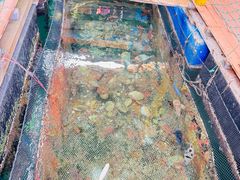 -蓝湾碧波·老字号·疍家非遗海上餐厅