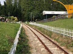 -东平国家森林公园