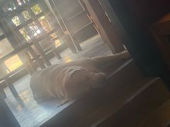 -七七家的糖水店(涠洲岛3号店)