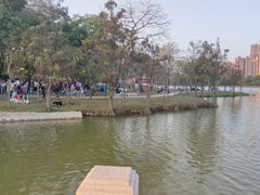 -顺峰山公园