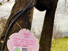 -福建鲤鱼洲酒店