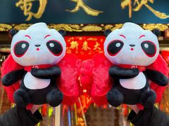 -蜀大侠火锅(总府路店)