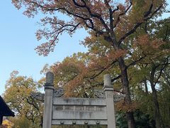 -灵谷景区