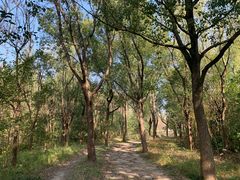 -昆山城市生态森林公园