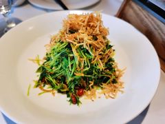 巧拌豆苗-四季民福烤鸭店(前门店)