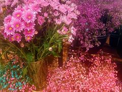 -艾薯夫妇Aysh(福田星河COCOPark店)