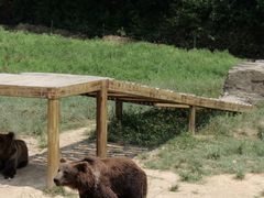 -杭州野生动物世界