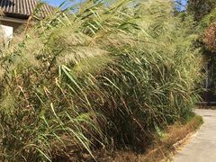-广州市紫泥堂文化创意园景区