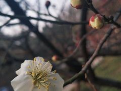 -山东大学(趵突泉校区)