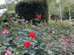 -人民公园(罗湖区)