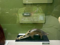 -国家自然博物馆