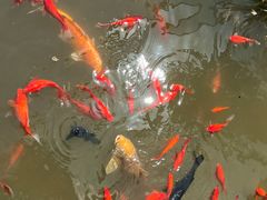 -聚缘堂·海鲜私房菜(松岭路店)