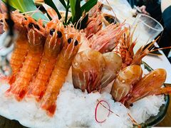 -芥末日本料理(打浦路铂尔曼旗舰店)