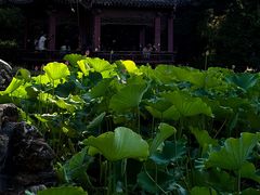 -莲湖公园