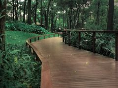 -云溪植物园