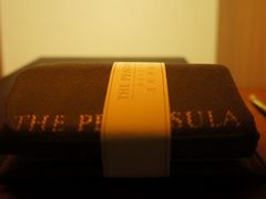 防尘洗衣袋-王府半岛酒店