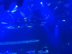 -SPACE(欢乐颂购物中心店)